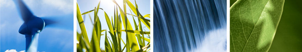 banner home